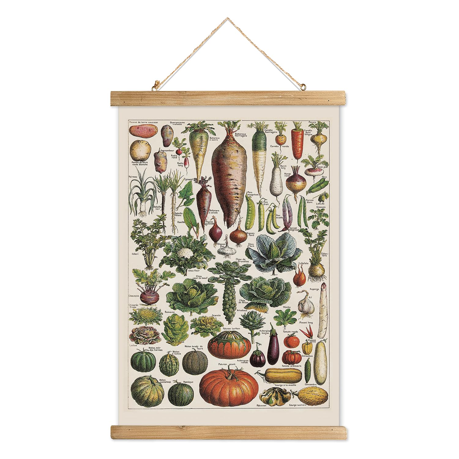 XIAOAIKA Vintage Vegetable Varieties Poster - Illustrated Garden Produce Chart with Wooden Frame - Educational Kitchen Wall Deco