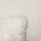 HomeRoots New Zealand Sheepskin, Microsuede, Polyfill 18'' X 18'' X 5'' 2 Pcs Lovely Natural Sheepskin Pillow
