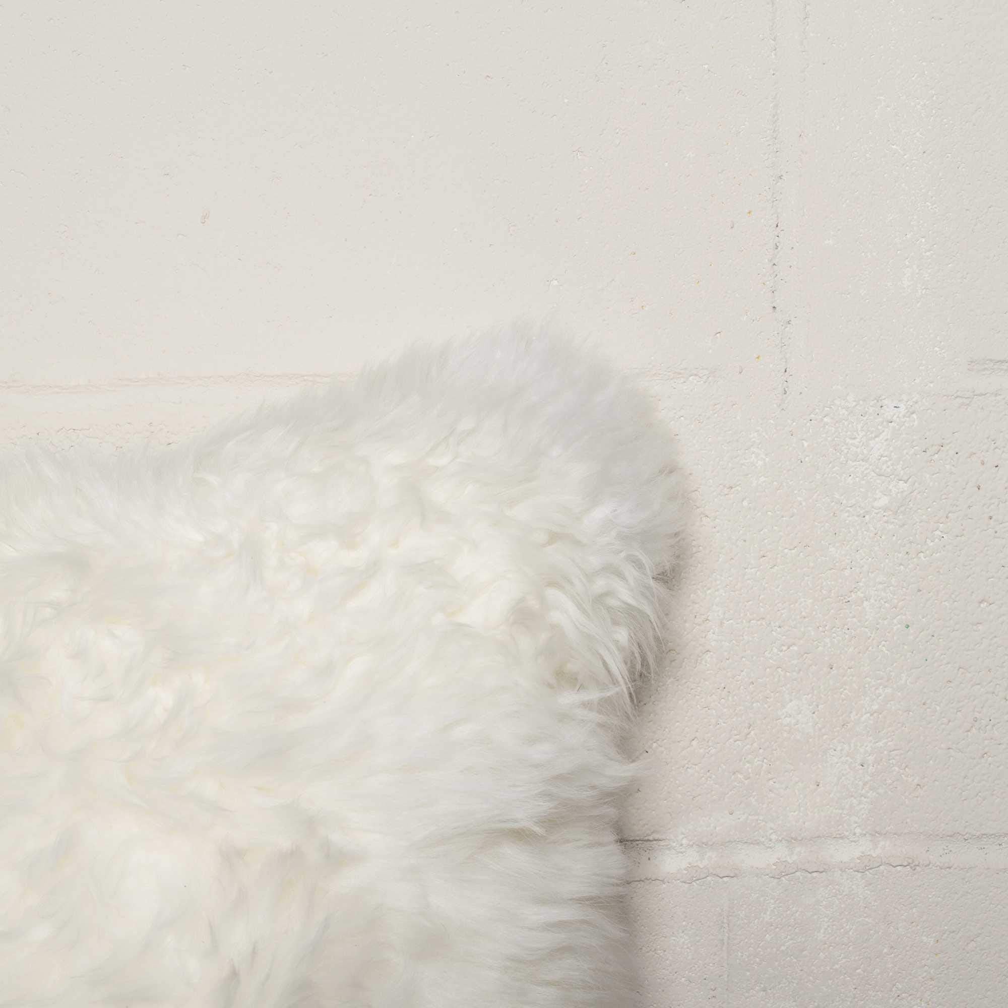 HomeRoots New Zealand Sheepskin, Microsuede, Polyfill 18'' X 18'' X 5'' 2 Pcs Lovely Natural Sheepskin Pillow