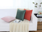 Jeneoo Comfy Soft Thick Fall Velvet Throw Pillow Covers For Sofa Couch, Decorative Solid Square Cushion Cases For Bedroom Car (O