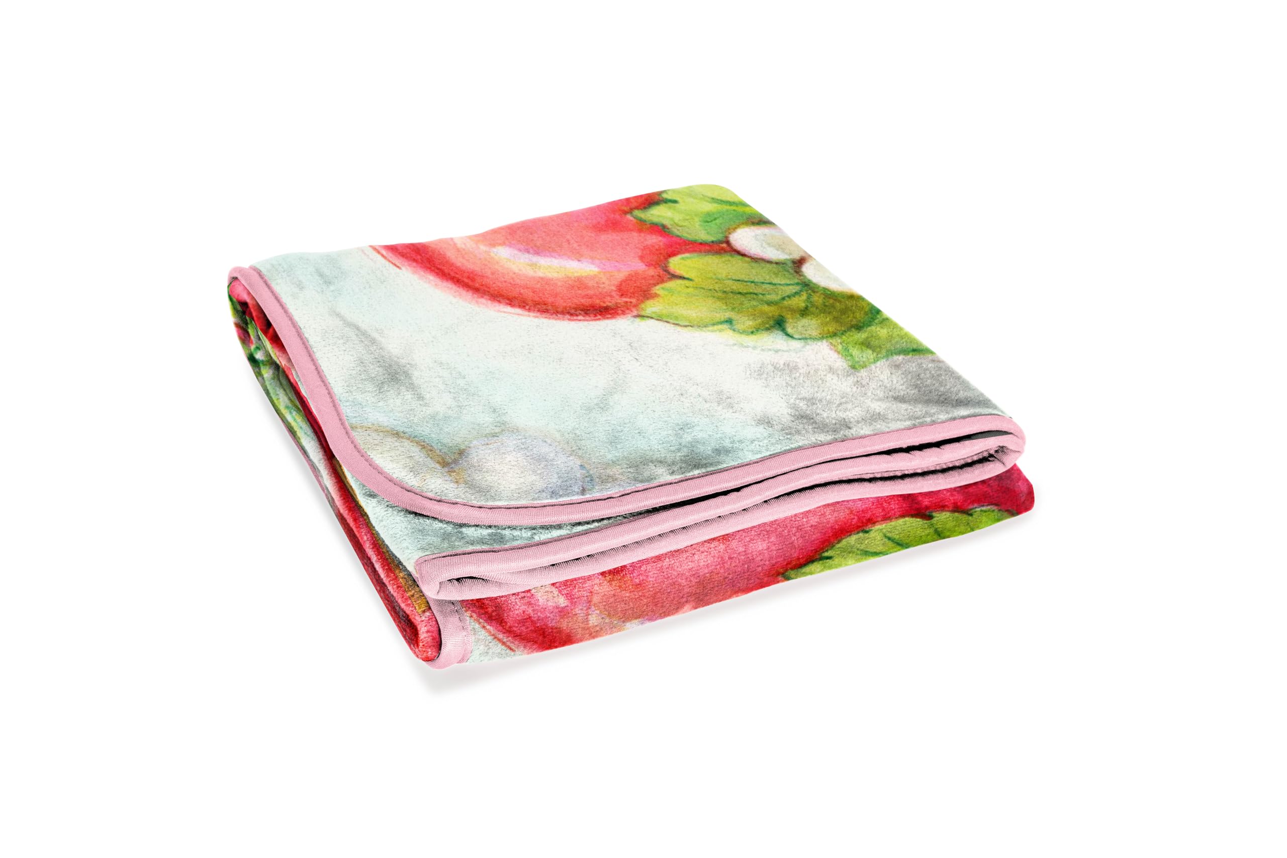 Strawberry Shortcake Berry Playhouse Plush Throw Blanket - Measures 46 X 60 Inches - Kids Super Soft Lightweight Fleece Bedding