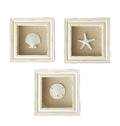 Beachy Set of 3 Shell Shabby Chic Shadow Boxes- Creamy Off White Frame 7 x 7 - Starfish, Sand Dollar and Clam Shell Mounted on F
