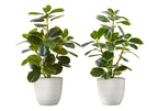 Monarch Specialties I 9557 Artificial Plant, 14' Tall, Ficus, Set of 2, Decorative, Green Leaves, White Pots
