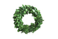 Preserved Boxwood Wreath