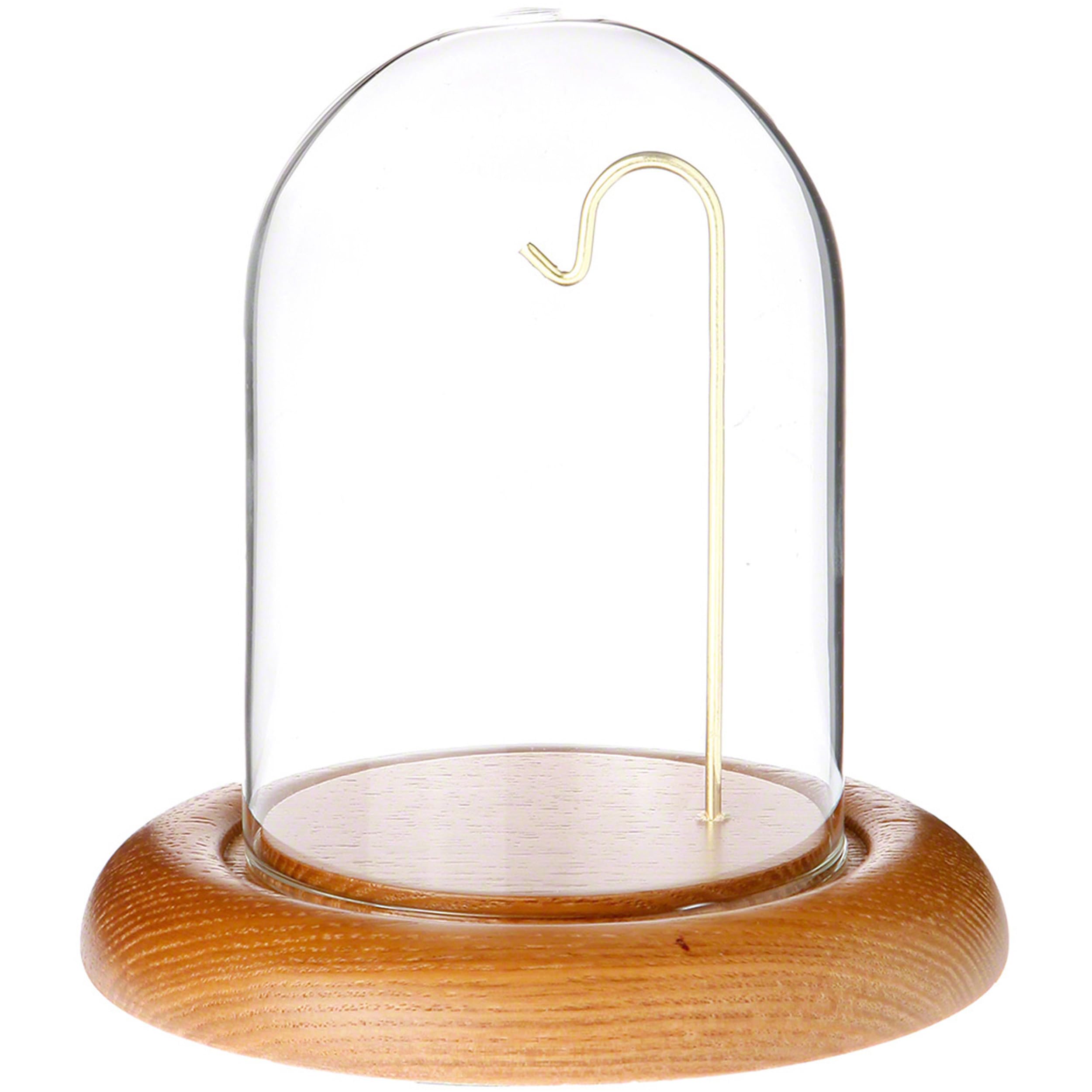 Plymor 3 x 4 Watch Glass Display Dome Cloche (Oak Base & Brass Wire)