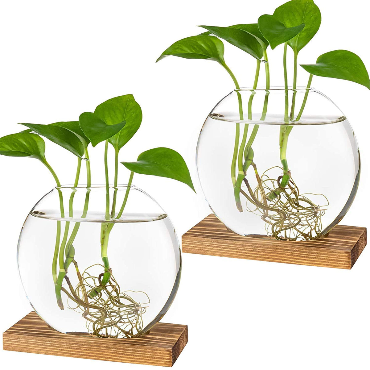 Kingbuy Desktop Round Glass Planter Terrarium Flower Vase With Wooden Stand For Propagation Small Hydroponic Plants Home Office