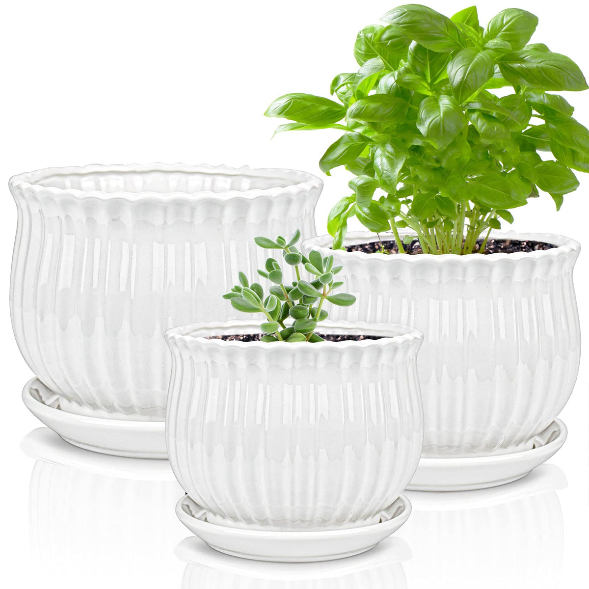 Yesland Ceramic Flower Plant Pots With Saucer, Set Of 3 In Different Sizes, Modern Round Ceramic Succulent Planter Pots With Whi