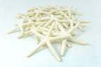 Starfish Decor - Star Fish For Craft - 20Pk Real 2-3'' White Sea Stars - Beach Wedding Decor - Coastal Party Decorations - Seash