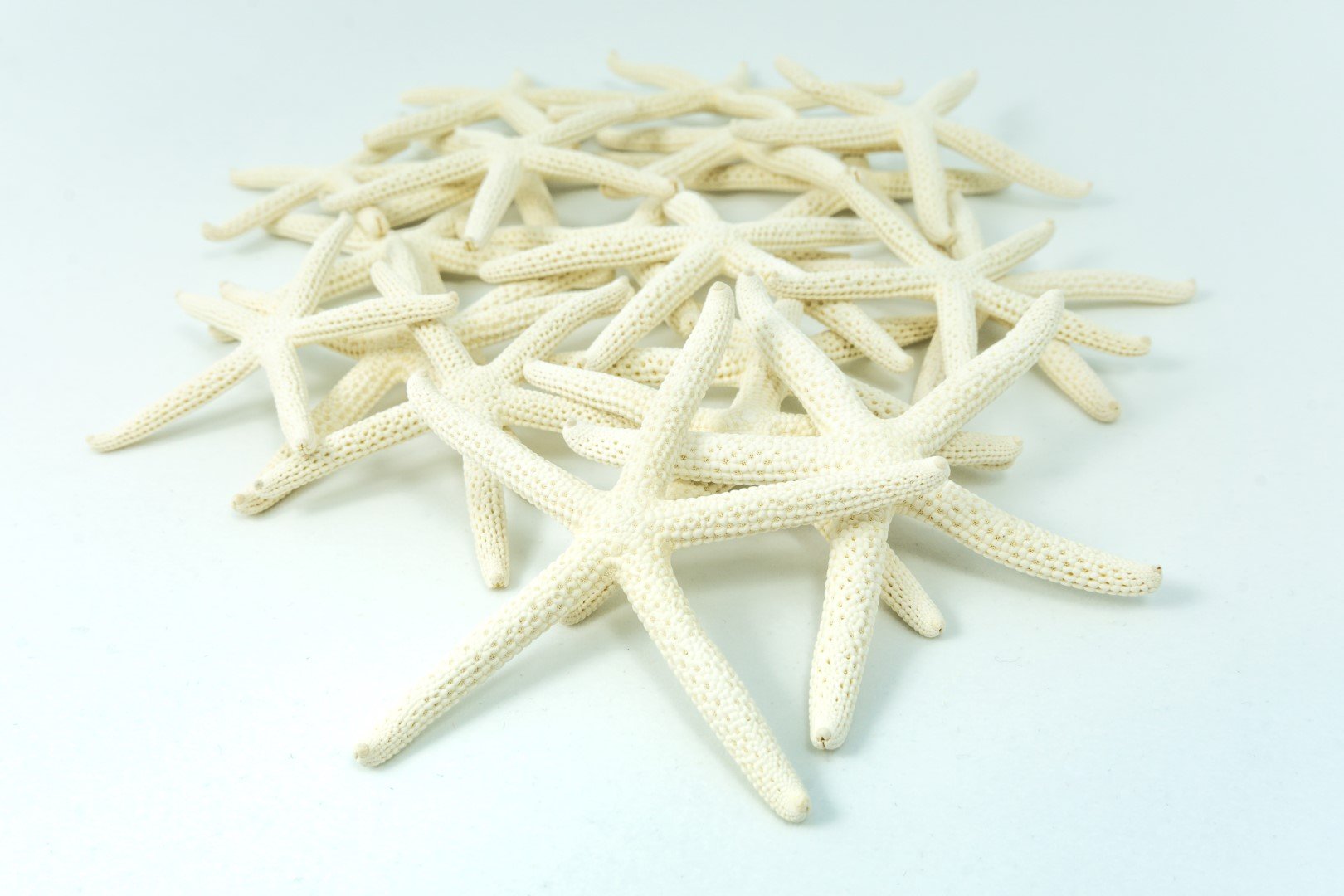 Starfish Decor - Star Fish For Craft - 20Pk Real 2-3'' White Sea Stars - Beach Wedding Decor - Coastal Party Decorations - Seash
