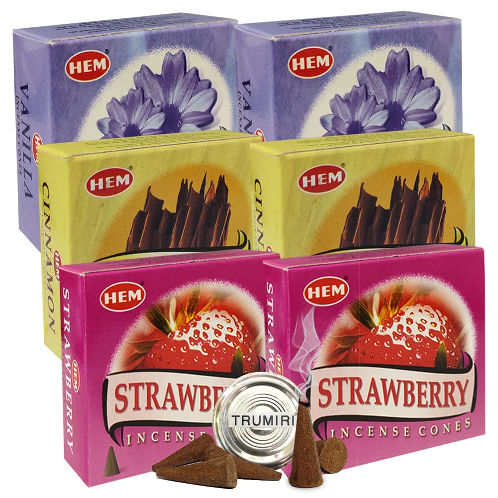 Vanilla Cinnamon Strawberry Incense Cones & Holder Bundle Variety Pack From Hem Trumiri Insense Insence