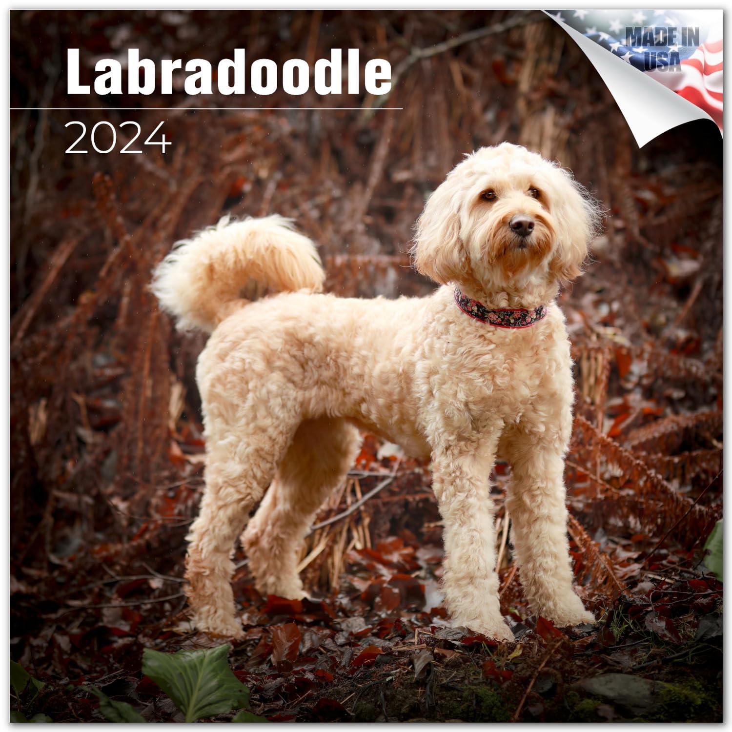 2023 2024 Labradoodle Calendar - Dog Breed Monthly Wall Calendar - 12 X 24 Open - Thick No-Bleed Paper - Giftable - Academic Tea