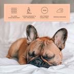 Peachskinsheets Classic White Sheet Set - 1500Tc Level Of Softness - Extra Soft Cooling Sheets For Hot Sleepers And Night Sweats