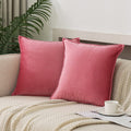 Jiahannha Velvet Pink Throw Pillow Covers Pack Of 2 Spring Decorative Soft For Couch Sofa Bed Livingroom Office 18  18 Inches