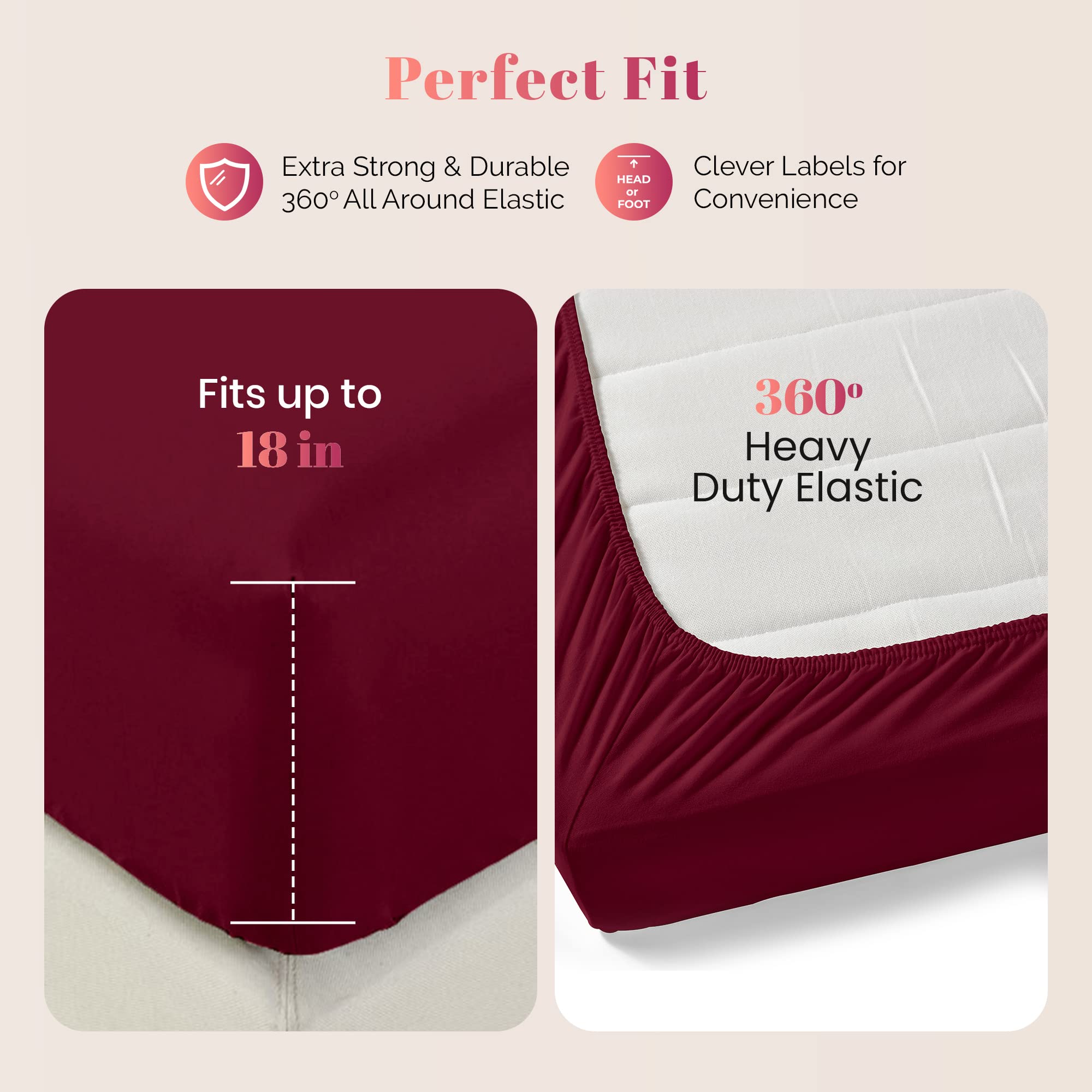 Ashton Sheets Luxury Egyptian Cotton Twin Fitted Sheet Only - 1000 Thread Count Twin Deep Pocket Fitted Sheet, Extra Long Staple