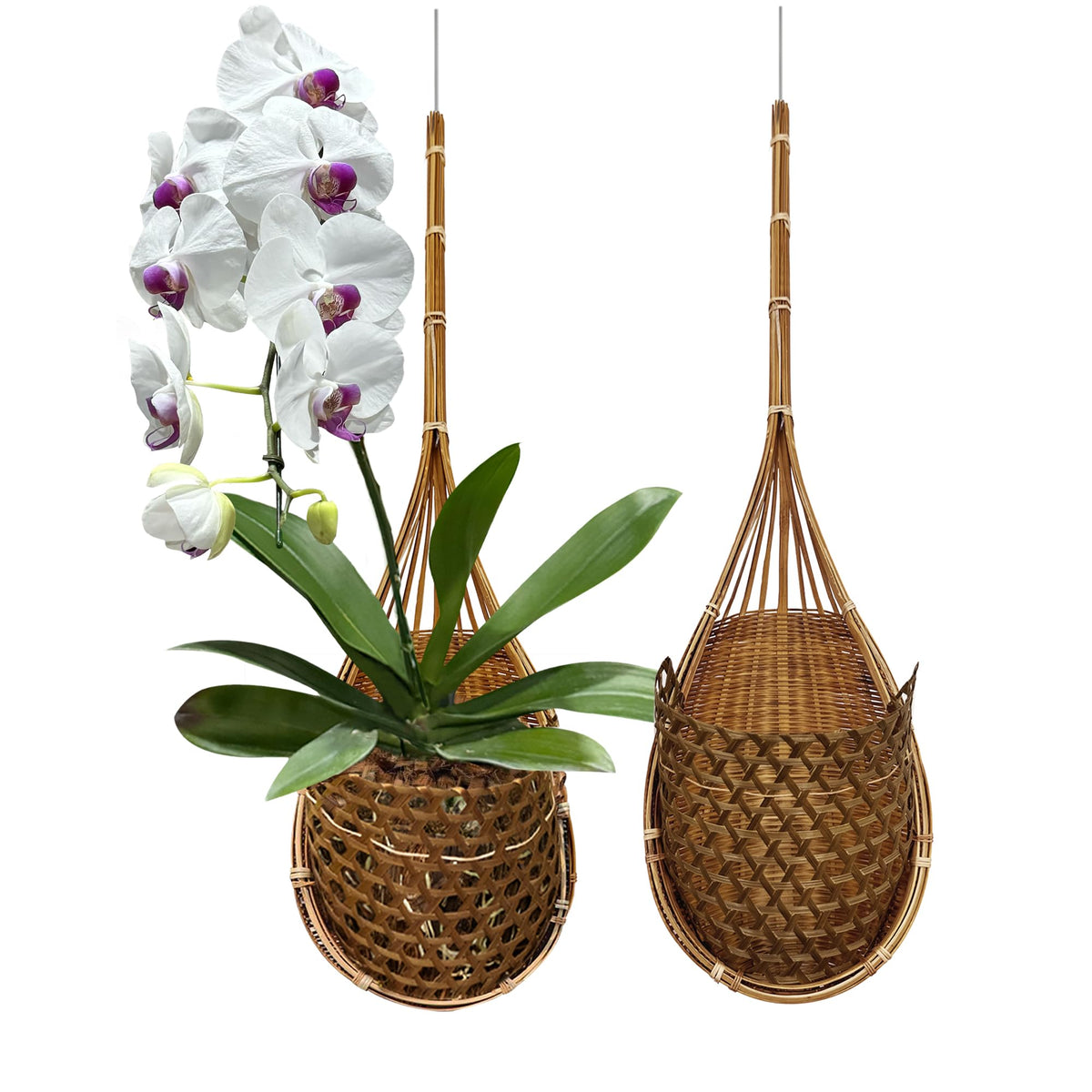 Panwa Handmade 100% Thai Bamboo Super Sanctuary Hanging Orchid Basket - 6 Inch Set Of 2