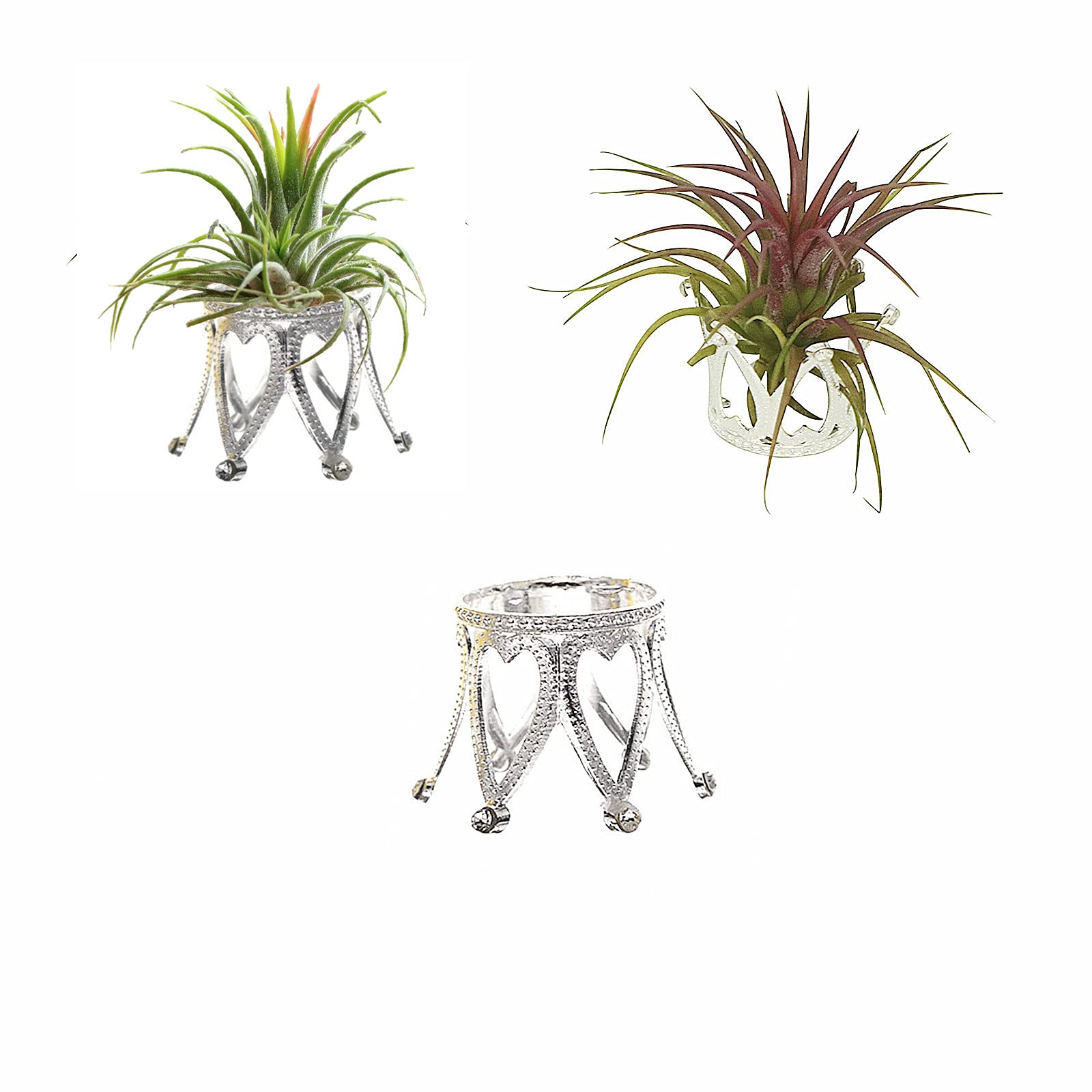 Newwe Pack Of 3 Silver Air Plant Holder Cute Crystal Tillandsia Display Container Home Decors Office Desktop Marble Egg Sphere S