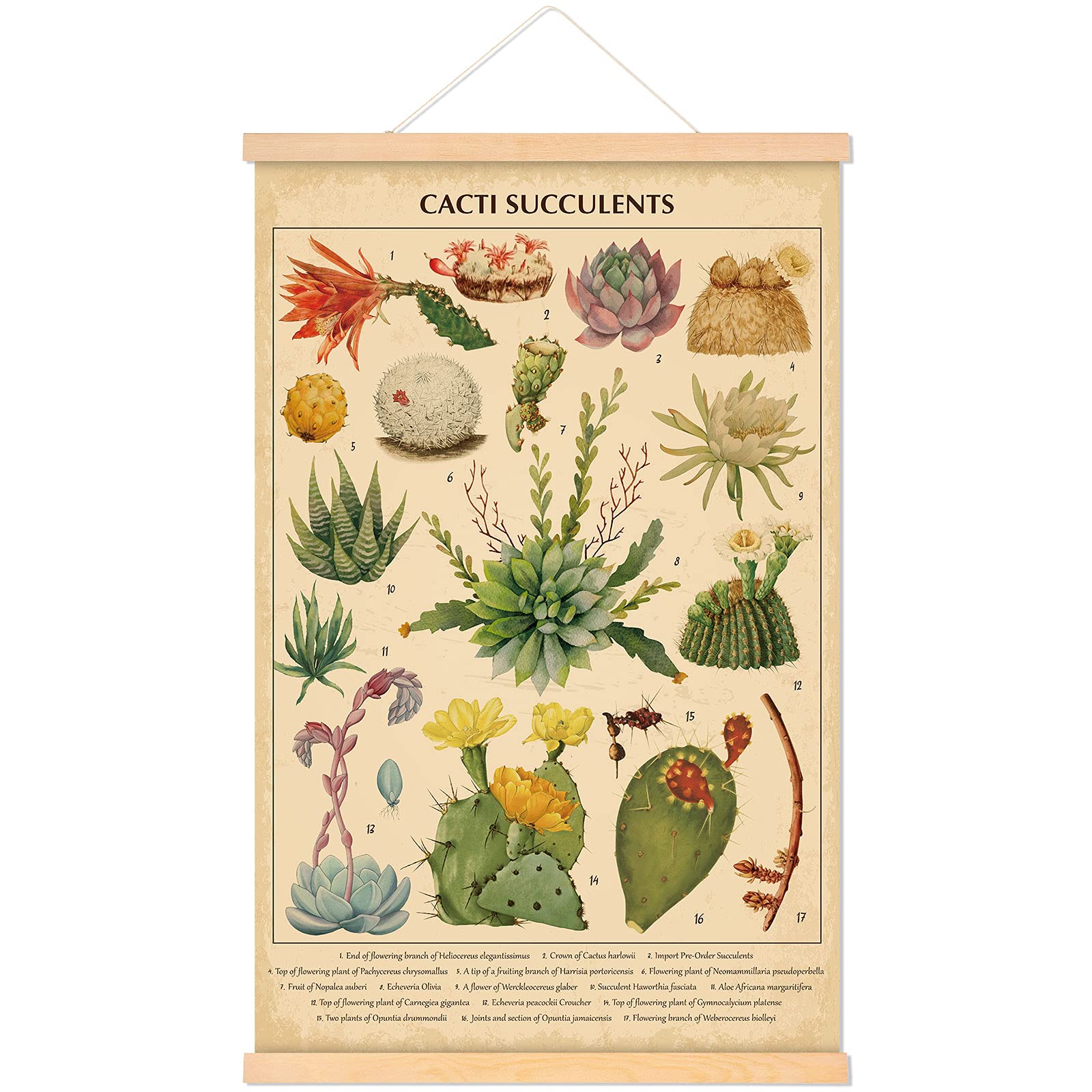 Tatuo Vintage Cacti Succulents Poster Cactus Wall Art Prints Rustic Cactus Hanging Wall Decor Hanging Canvas Frame Poster for Li