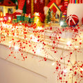 Riakrum 16.5 Feet Winter Berry Beaded Garland String Light Valentines Day Mantle Decor Acrylic Pearl Warm LED Lights Festive Li