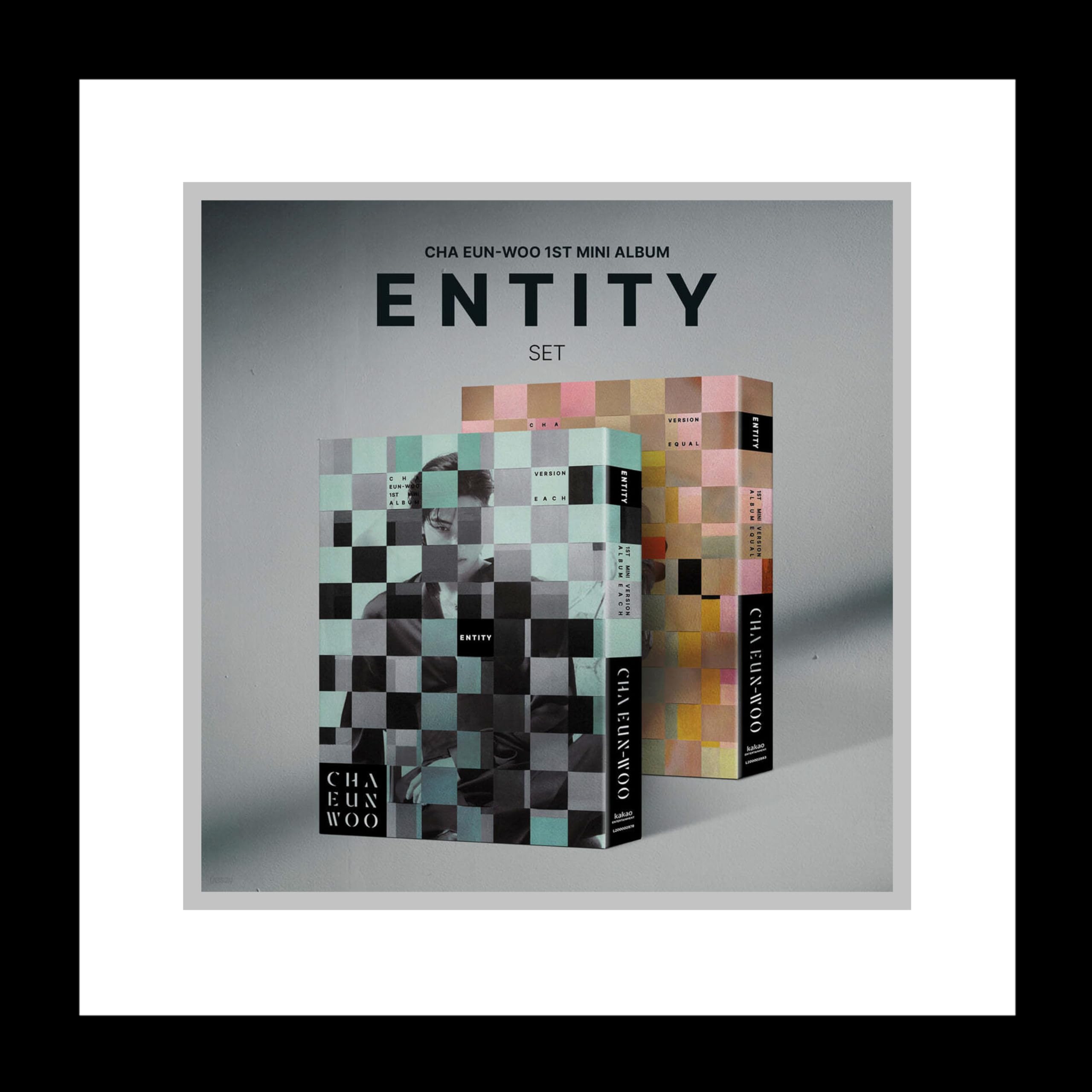 Astro Cha Eunwoo Entity 1St Mini Album Cd+Folding Poster On Pack+Photobook+Photocard+Sticker+Diy Entity+Accordion Lyric Paper+Tr