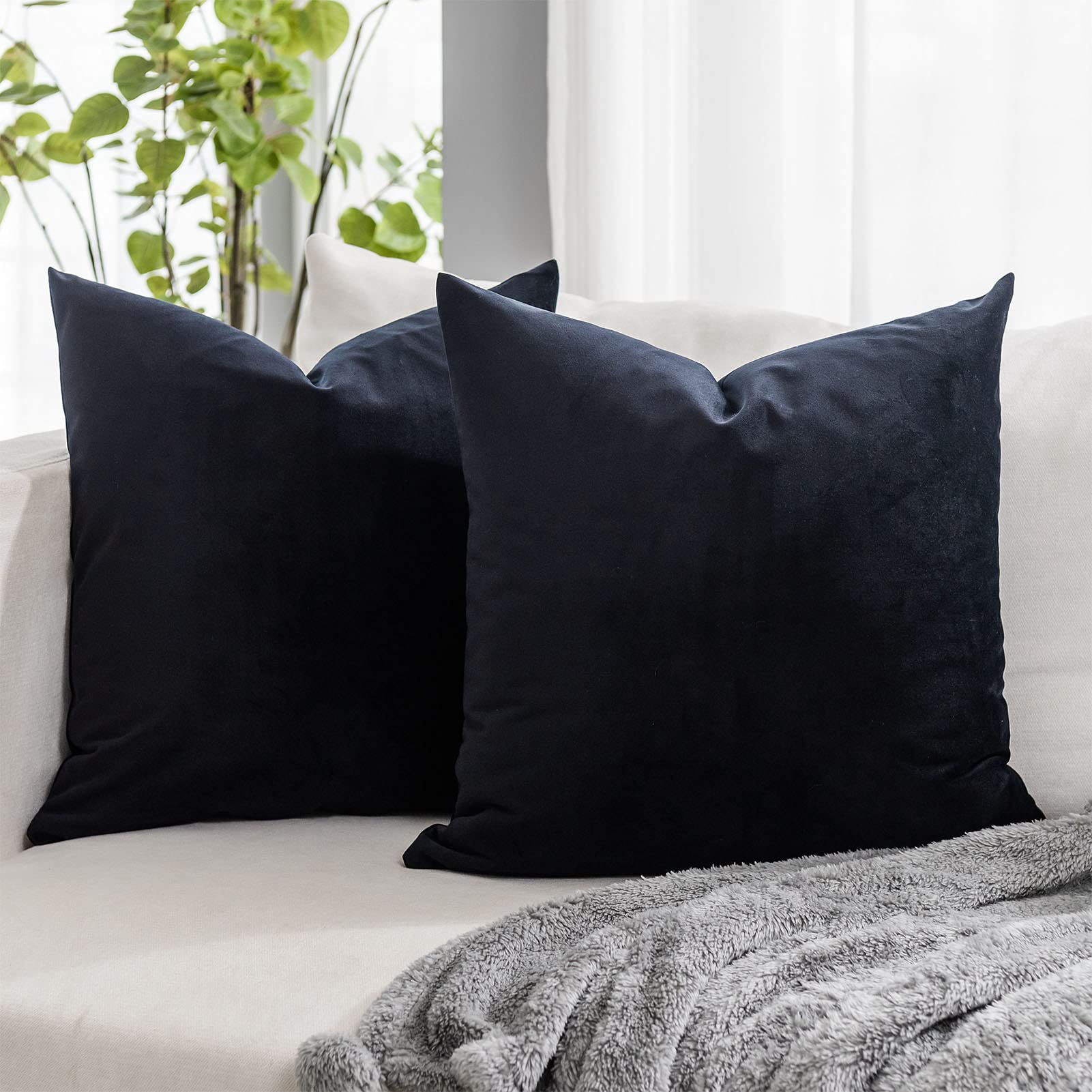 Quafoo Black Euro Decorative Velvet Throw Pillow Covers 26X26 Inch Set Of 2 With Zipper Luxury Soft Solid Square Cushion Covers