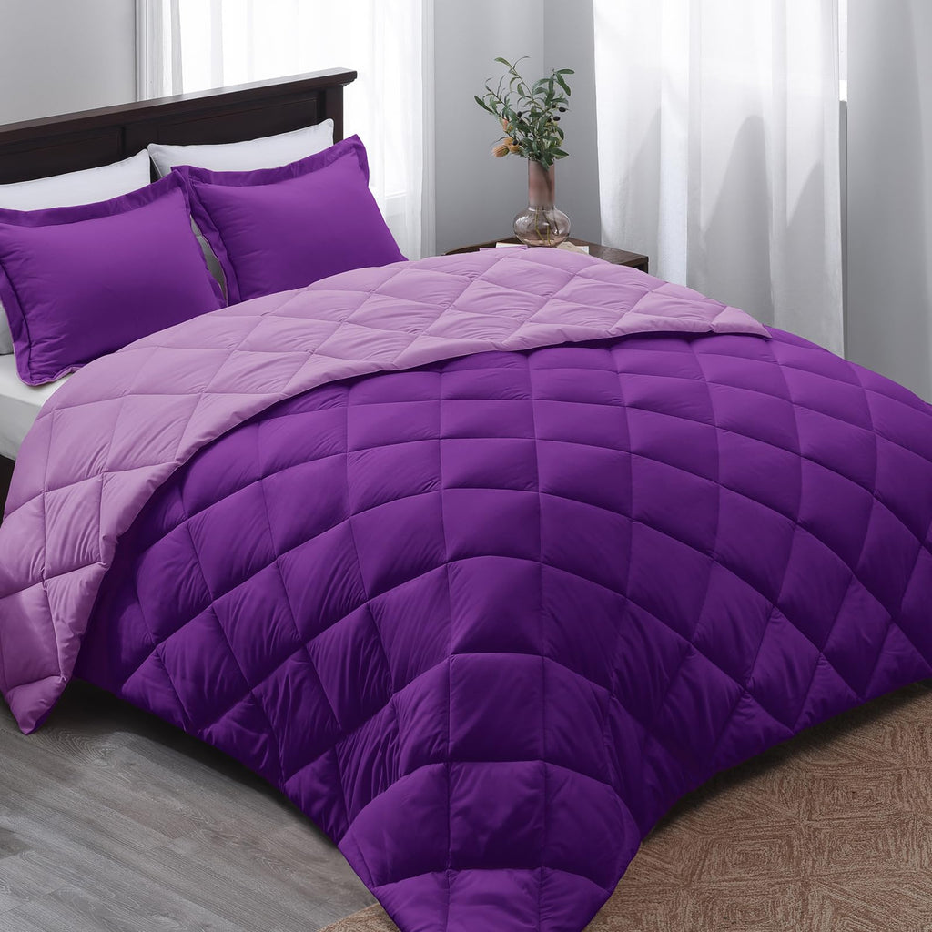 Basic Beyond Purple Twin Comforter Set - 1 Comforter (66'X92') And 1 Pillow Sham (20'X26')