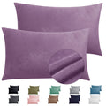 2 Pack Zippered Velvet Standard Pillowcases, Super Soft And Cozy Luxury Fuzzy Flannel Pillow Cases With Zipper, 20X26 Inches, Pu
