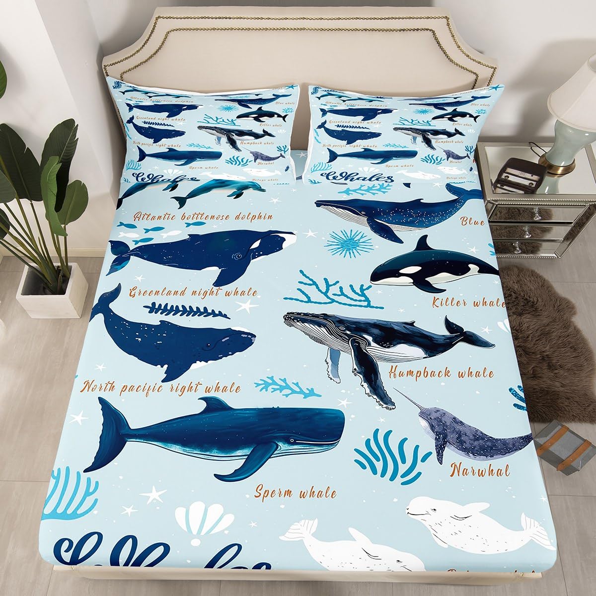 Whale Fitted Sheet Queen For Girls Boys,Coastal Sea Animals Seal Sea Lion Dolphin Bedding Set,Beach Ocean Creature Under The Sea