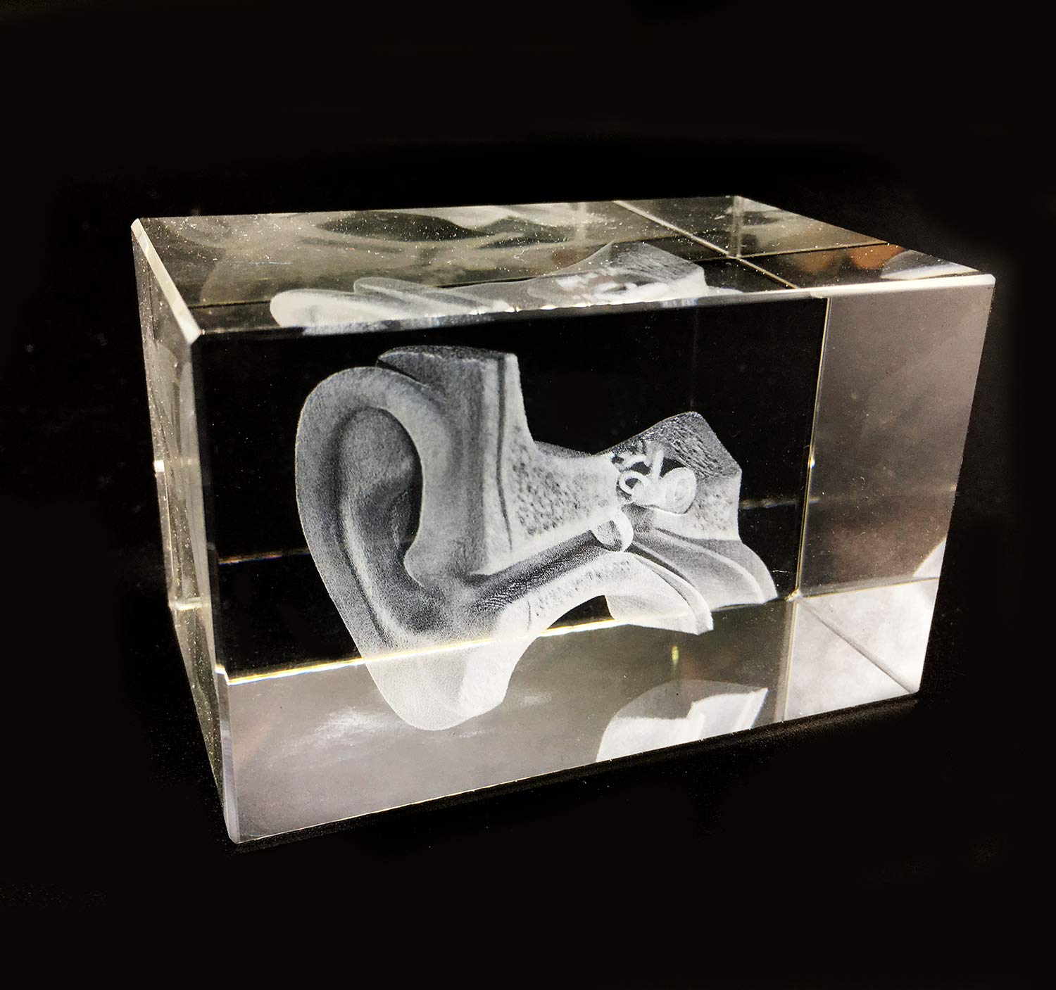 3D Human Ear Anatomical Model Paperweight(Laser Etched) In Crystal Glass Cube Science Anatomy Gift (No Included Led Base)