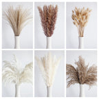 110 Pcs Dried Pampas Grass Bouquet, Boho Table Decor, Bunny Tails Dried Flowers, Brown Pompas, White Pampas Grass For Wedding, H