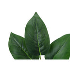Monarch Specialties I 9502 Artificial Plant 17" Aureum Green Leaves Metal White Pot