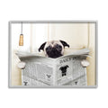 Stupell Industries Pug Reading Newspaper in Bathroom, Design by in House Gray Framed Wall Art, 24 x 30, Off- White