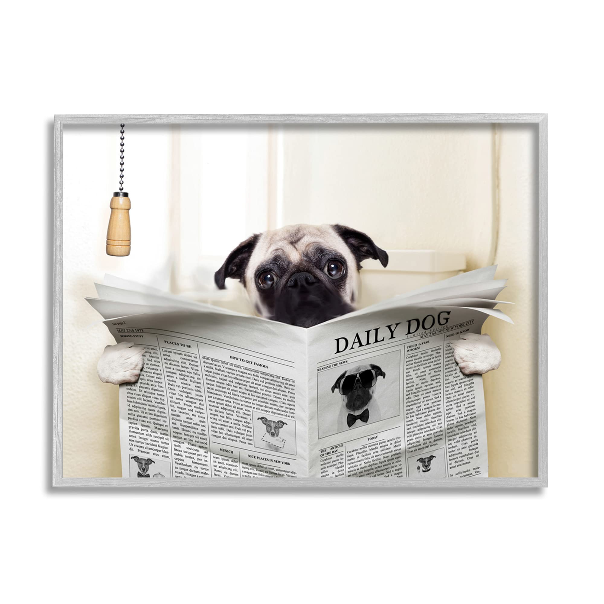 Stupell Industries Pug Reading Newspaper in Bathroom, Design by in House Gray Framed Wall Art, 24 x 30, Off- White