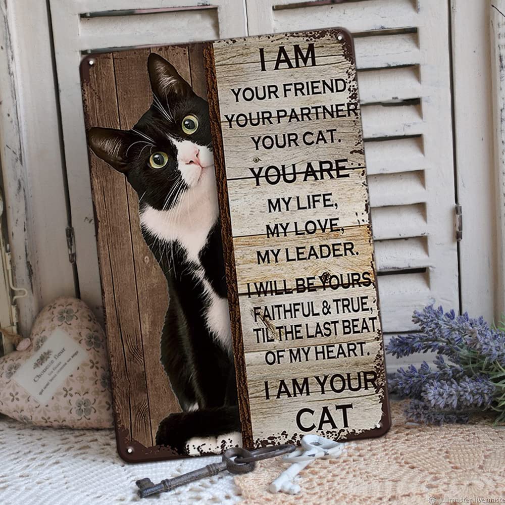 Cat Signs Gifts for Cat Lovers Tuxedo Cat Decor Metal Signs - I Am Your Friend Your Companion Your Cat You Are My Life - Cat Roo
