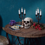 8 Pieces Halloween Skulls Realistic Looking Skulls Human Skeleton Head Skull For Halloween Bar Home Table Decoration (3.1 X 3.5