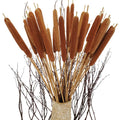 40 Pcs Dried Natural Cattails Jumbo Dried Flowers for Floral Arrangement Wedding Home Decoration 24 inch