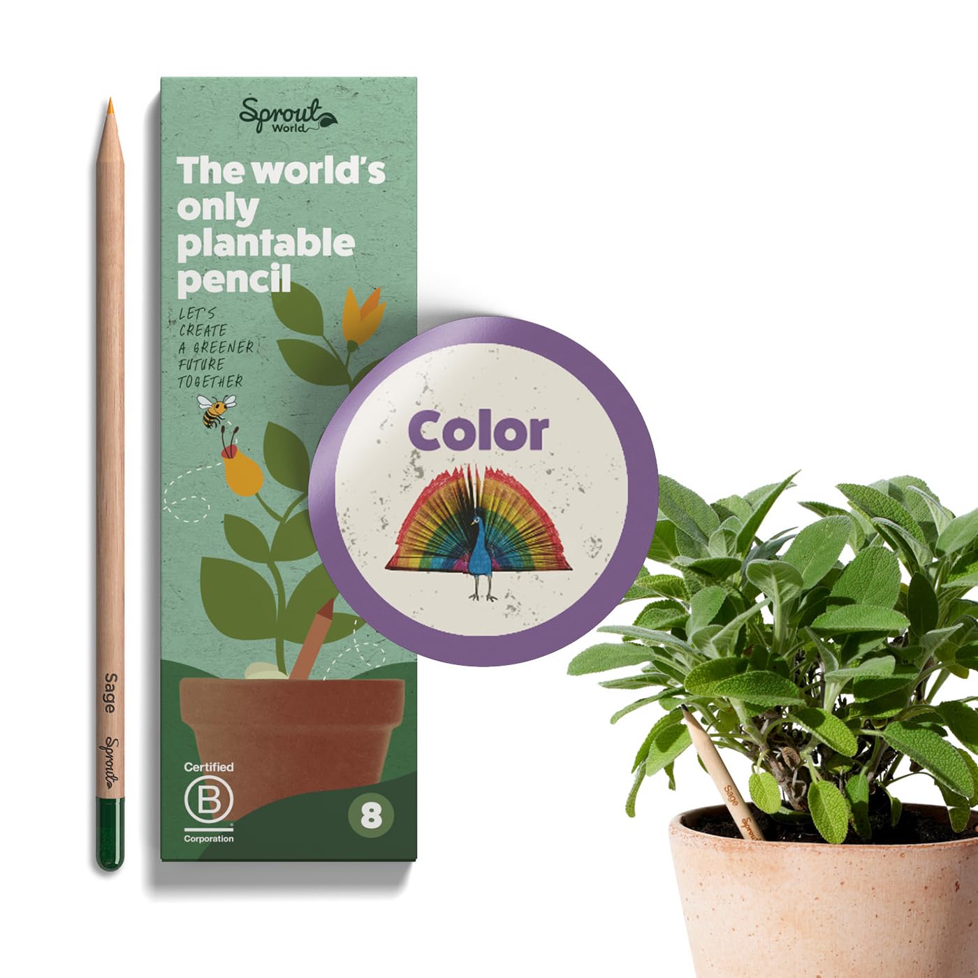 Sproutworld Wood-Cased Pencils | Color Edition | Hb Pre-Sharpened Plantable Wooden Pencils With Flower, Herb & Vegetable Seeds |