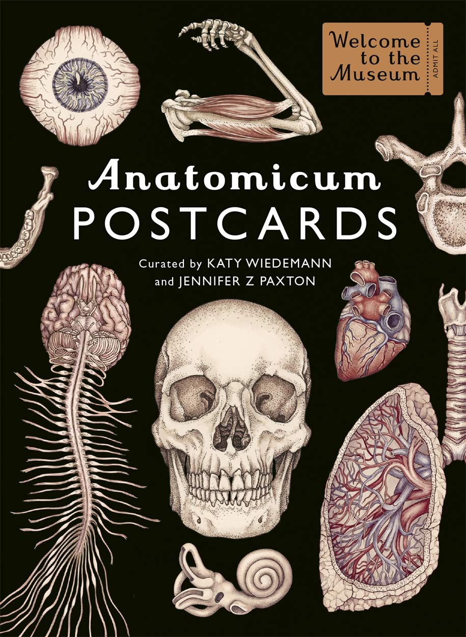 Big Picture Press Anatomicum Postcard Box: Welcome To The Museum
