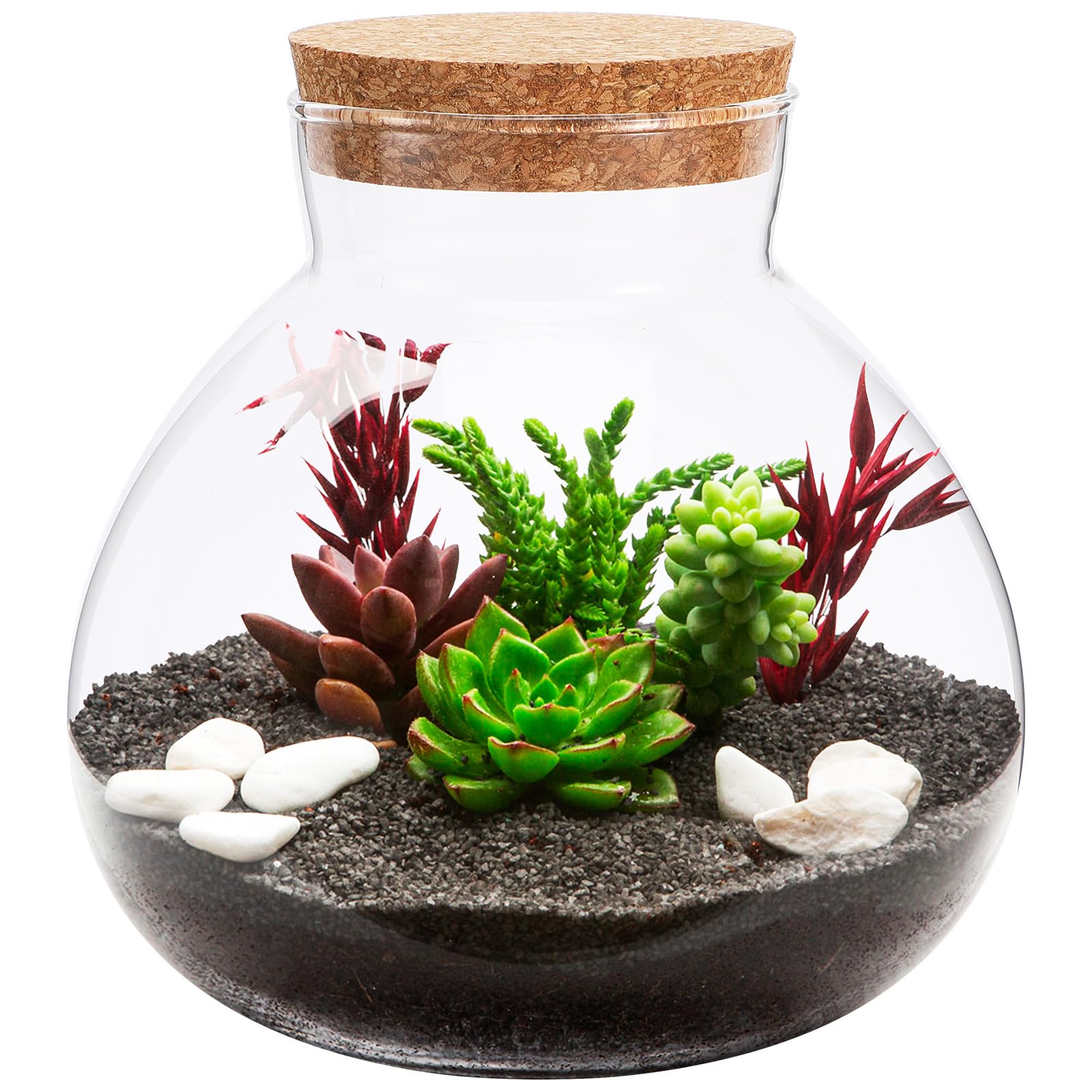 Happyyami Round Glass Jar Terrarium Succulent Plant Terrarium Moss Ball Bud Vases Jars Message Wishes Bottle Candy Jar With Cork