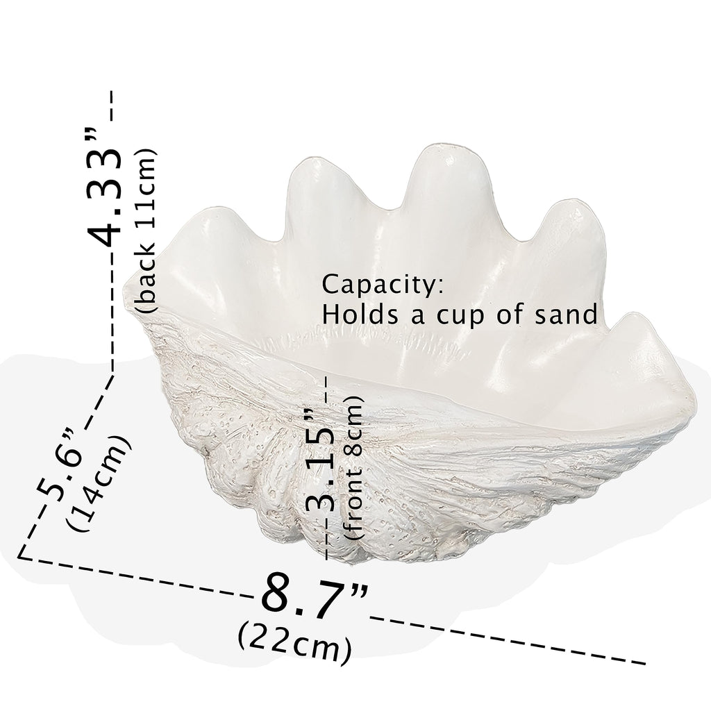 Huey House Small Clam Shell Sculptured Replica - 8.75Lx 5.6Wx 4.33H Handcrafted White Resin Seashell For Home Decoration Or Dish