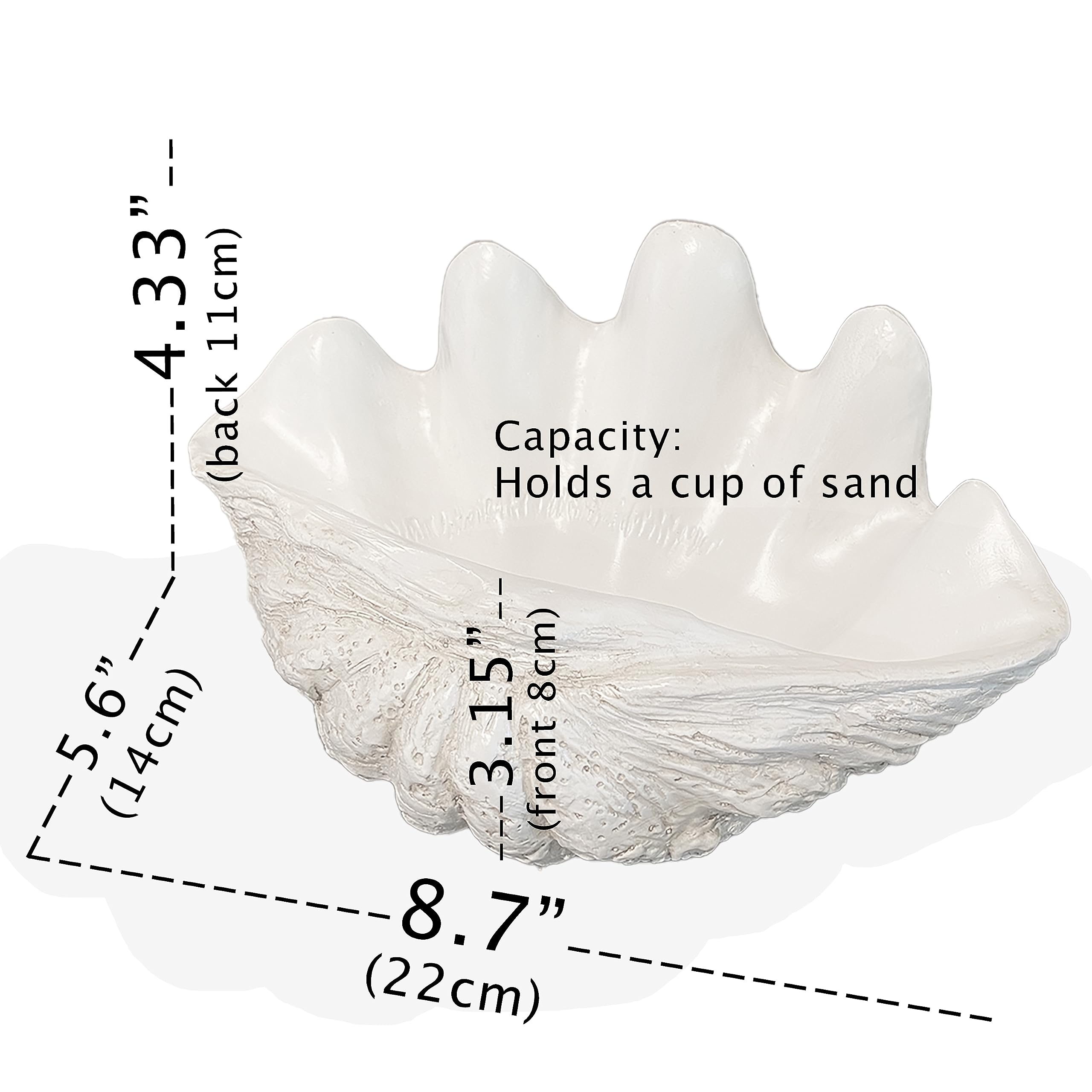 Huey House Small Clam Shell Sculptured Replica - 8.75Lx 5.6Wx 4.33H Handcrafted White Resin Seashell For Home Decoration Or Dish