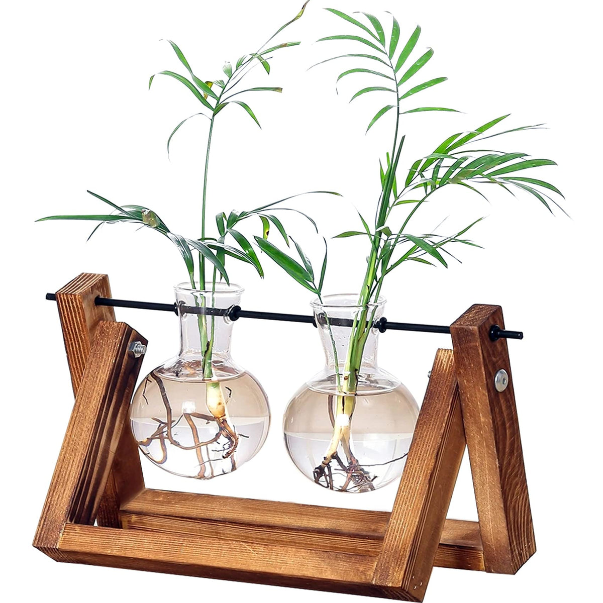 Kingbuy Glass Desktop Planter With Retro Wooden Stand And Plant Terrarium Vase (2 Bulbs) For Indoor Office Desk Decor Accessorie