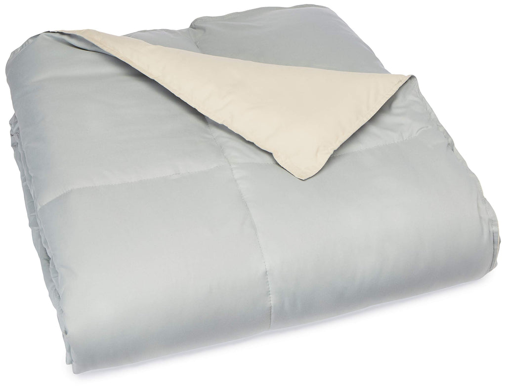 Modern Threads Down Alternative Microfiber Quilted Reversible Comforter & Duvet Insert - Soft, Comfortable Alternative To Goose Down - Bedding For All Seasons Seafoam/Almond Twin