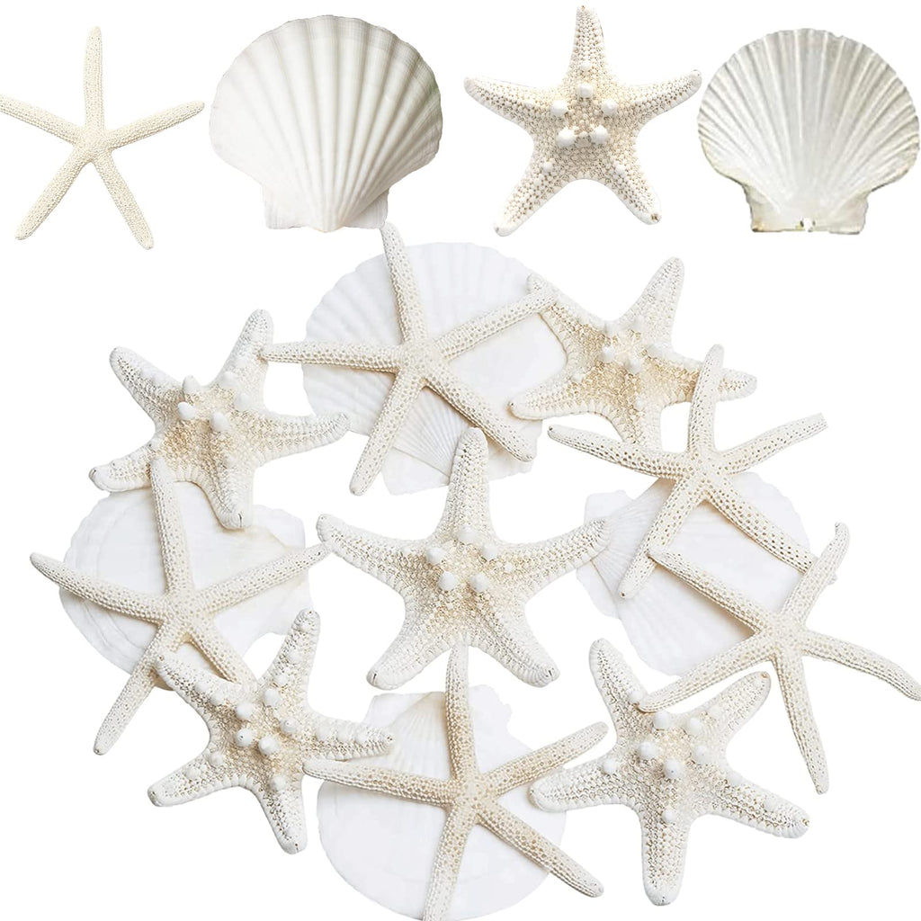 JQAQJU Starfish and Scallop Shells for Crafts 12PCS, Large Seashells 3''-4'' Bulk Sea Shells for Decor Kids Beach Theme Party Pa