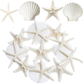 JQAQJU Starfish and Scallop Shells for Crafts 12PCS, Large Seashells 3''-4'' Bulk Sea Shells for Decor Kids Beach Theme Party Pa