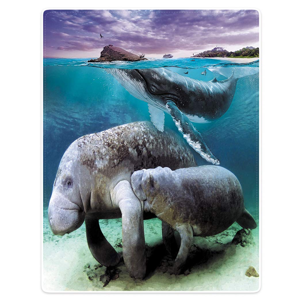 Sxchen Plush Sofa Bed Throw Blanket Killer Whales Manatees Pirates Ocean 60'X80'