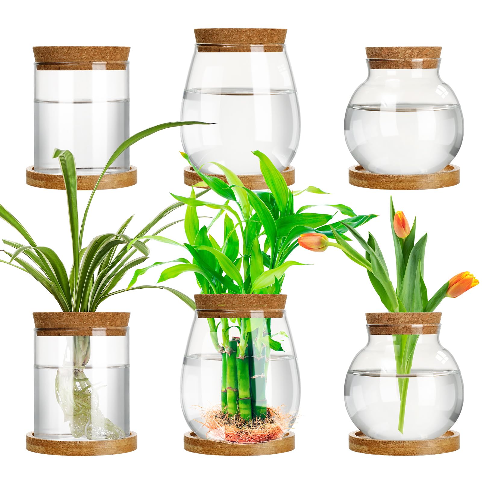 Beeveer 6 Pcs Plants Propagation Station Separated Desktop Plant Terrarium With Wood Lid And Stand, 3 Sizes Glass Planter Propag