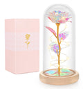 Beferr Mothers Day Mom Gifts for Women Birthday Gifts Galaxy Rose Enchanted Crystal Flower Gift Light Up Rose in Glass Dome Moth
