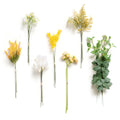 Ling's Moment Artificial Greenery Stems Box Set, 30pcs with 7 Kinds of Faux Greenery Picks for DIY Bridal Bouquets Wedding Flora
