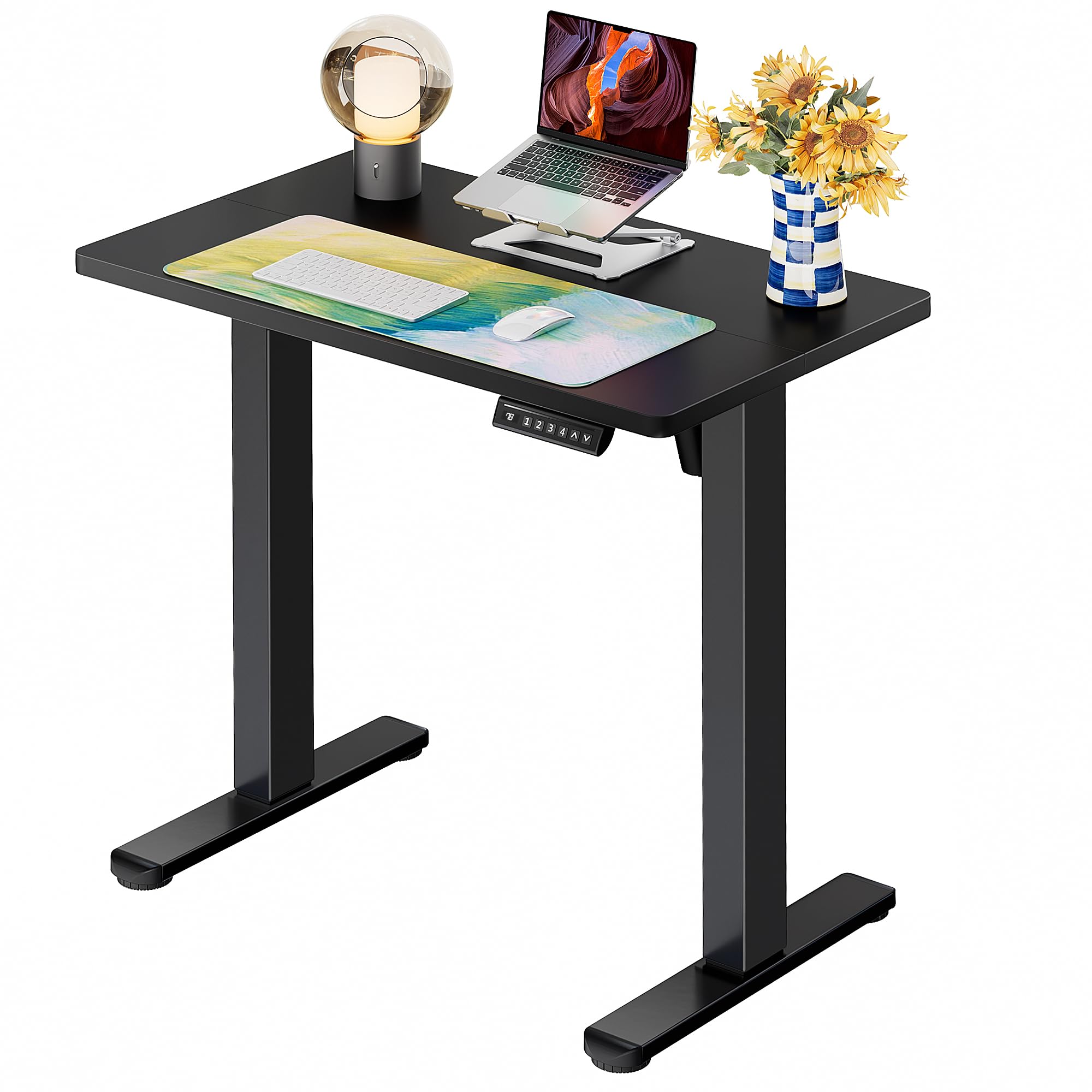 ErGear Height Adjustable Electric Standing Desk, 32 x 19 Inches Sit Stand up Desk, Memory Computer Home Office Desk, Black