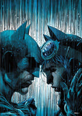 MIGHTYPRINT DC Comics - Catwoman and Batman - Under the Weather - Batman #50 Variant Cover - Durable 17    x 24 Wall Art - NOT M